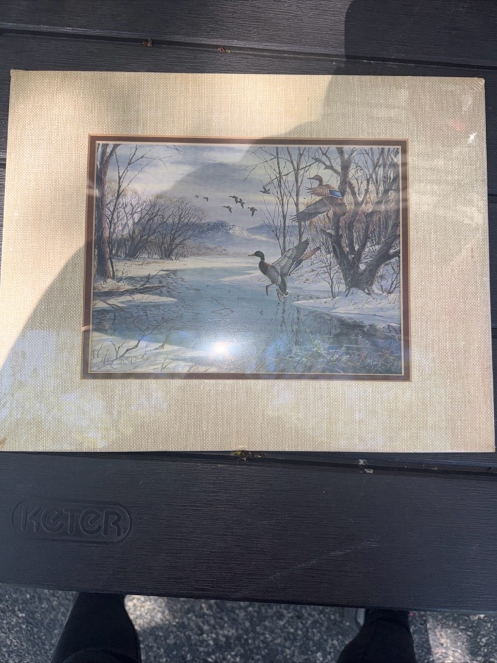 Framed Winter Duck Print in Beige Mat